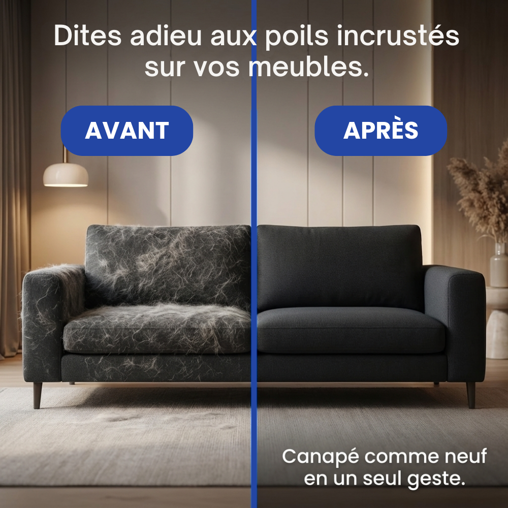 Magic Brush™ – Gant Anti-Poils