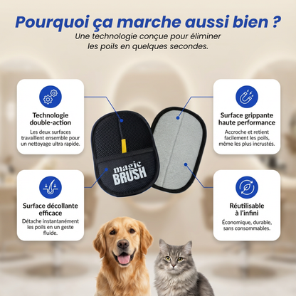 La Brosse Magique™ — Édition Premium 2025