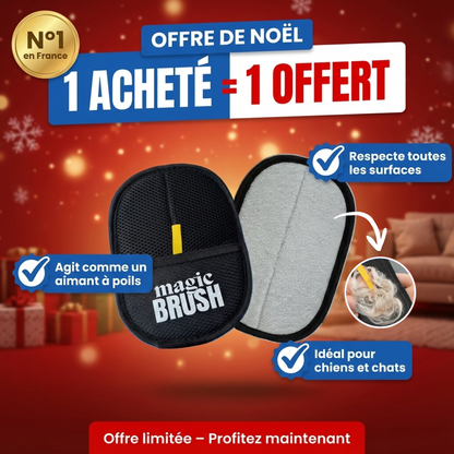 La Brosse Magique™ — Édition Premium 2025