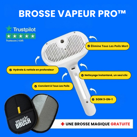 Brosse Anti-Poils Vapeur Pro™