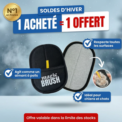 Magic Brush™ – Gant Anti-Poils