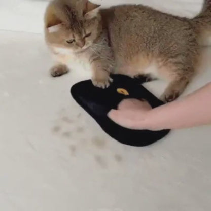 Magic Brush™ – Gant Anti-Poils